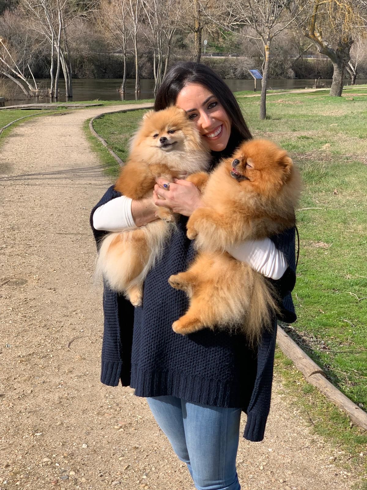 The Grooming Business: Pomeranias